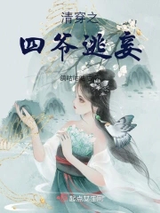 清穿四爷小妾雪中回眸